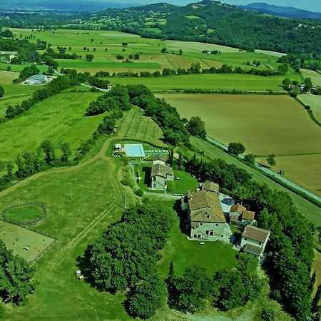 Agriturismo Il Sasso Guest House Anghiari Bagian luar foto