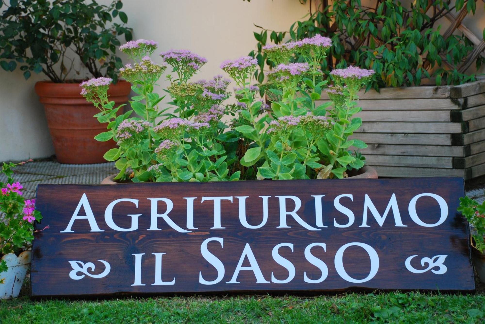 Agriturismo Il Sasso Guest House Anghiari Bagian luar foto